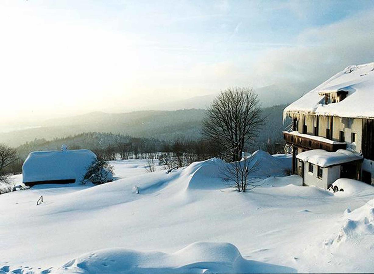 Pension Draxlerhof Neuschönau Εξωτερικό φωτογραφία