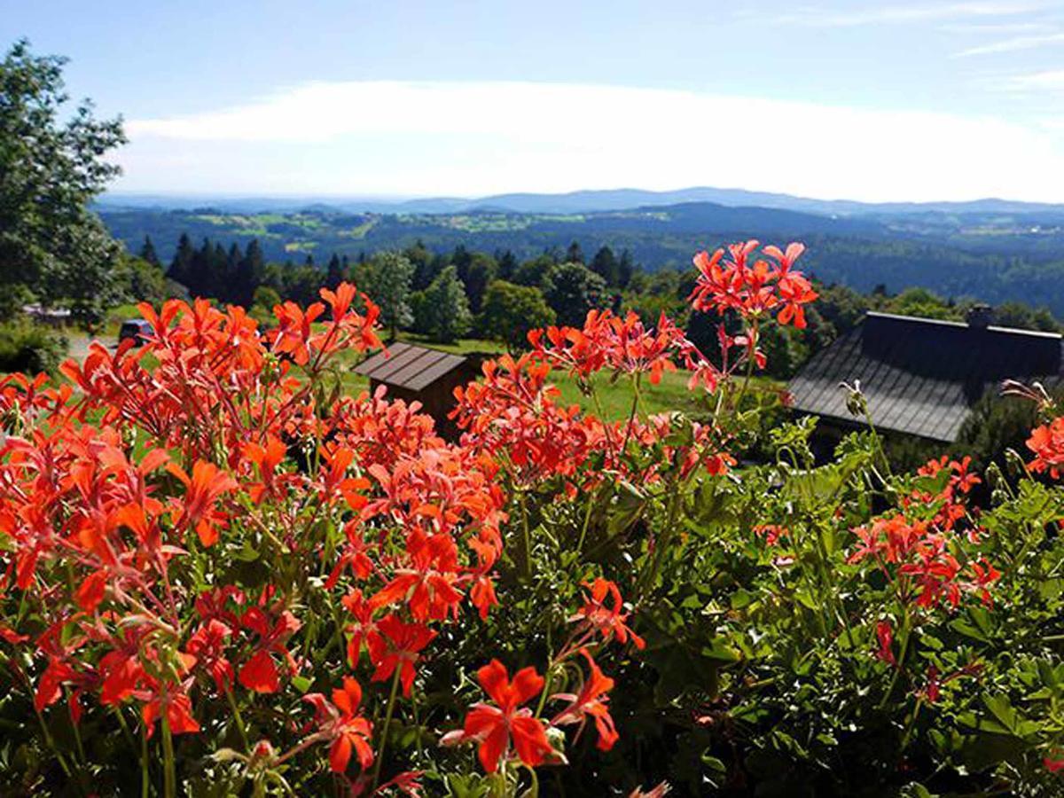 Pension Draxlerhof Neuschönau Εξωτερικό φωτογραφία