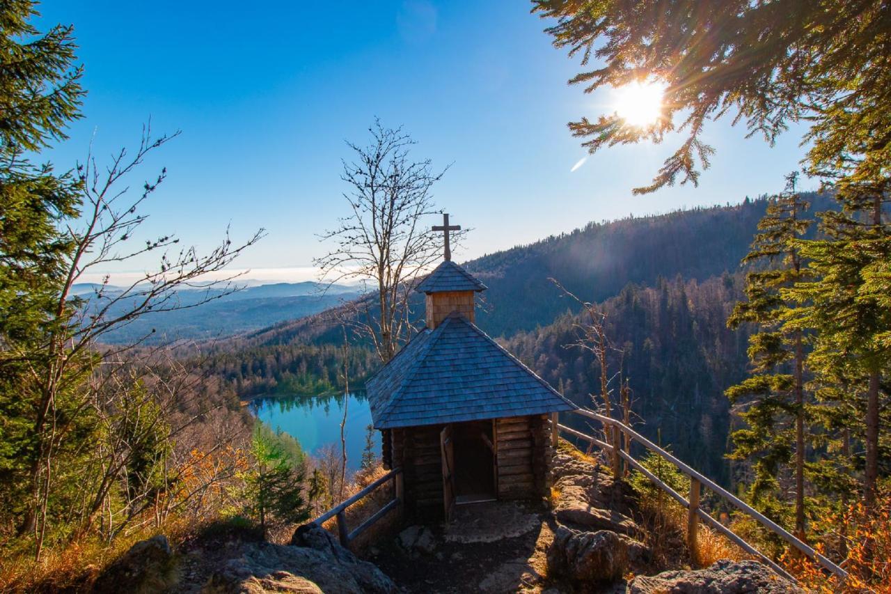 Pension Draxlerhof Neuschönau Εξωτερικό φωτογραφία