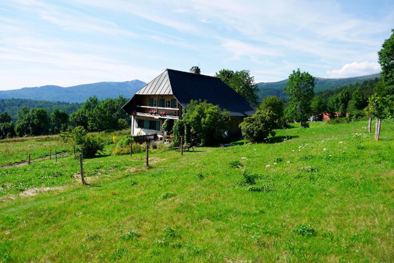 Pension Draxlerhof Neuschönau Εξωτερικό φωτογραφία